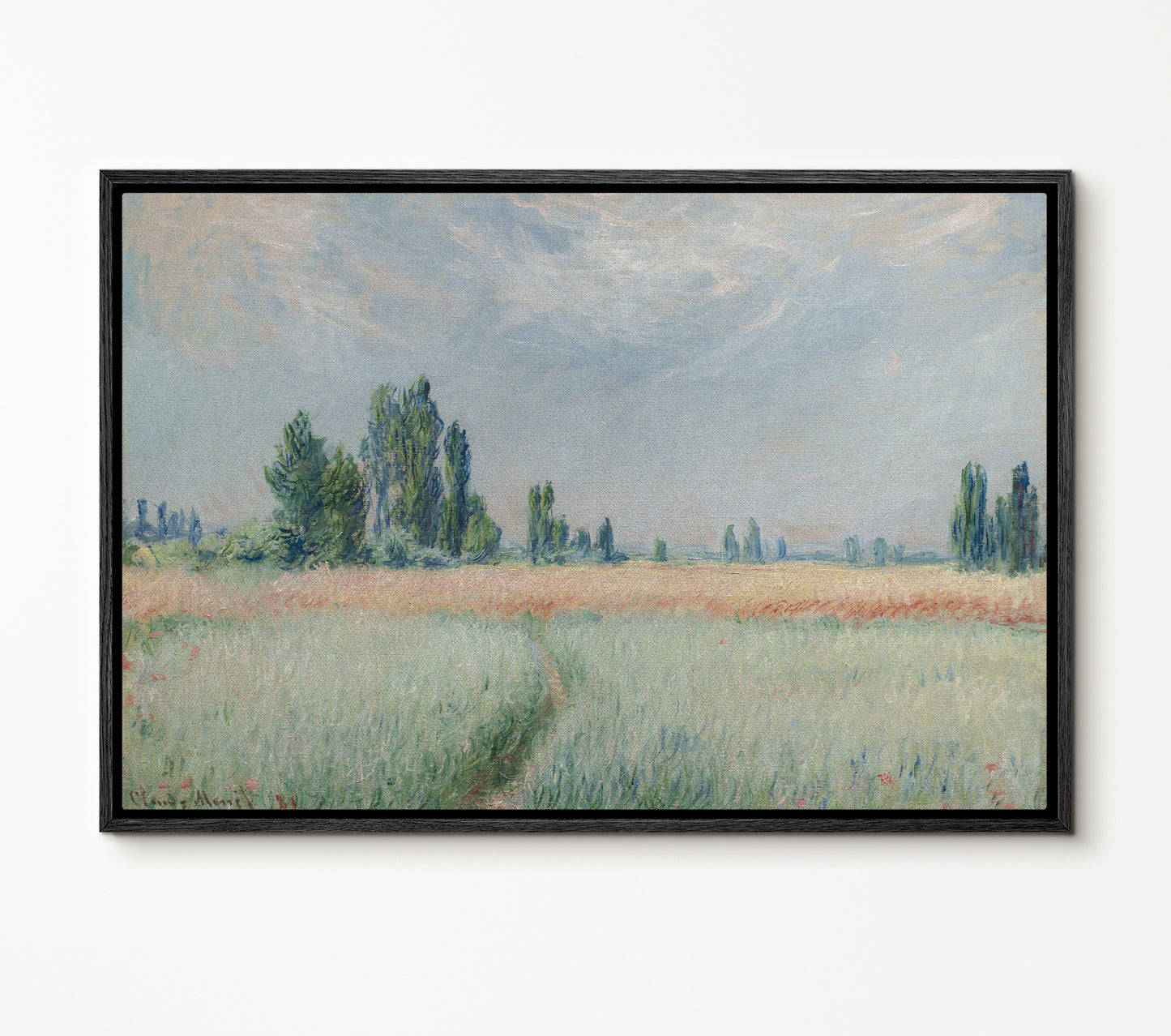 Wheat Field