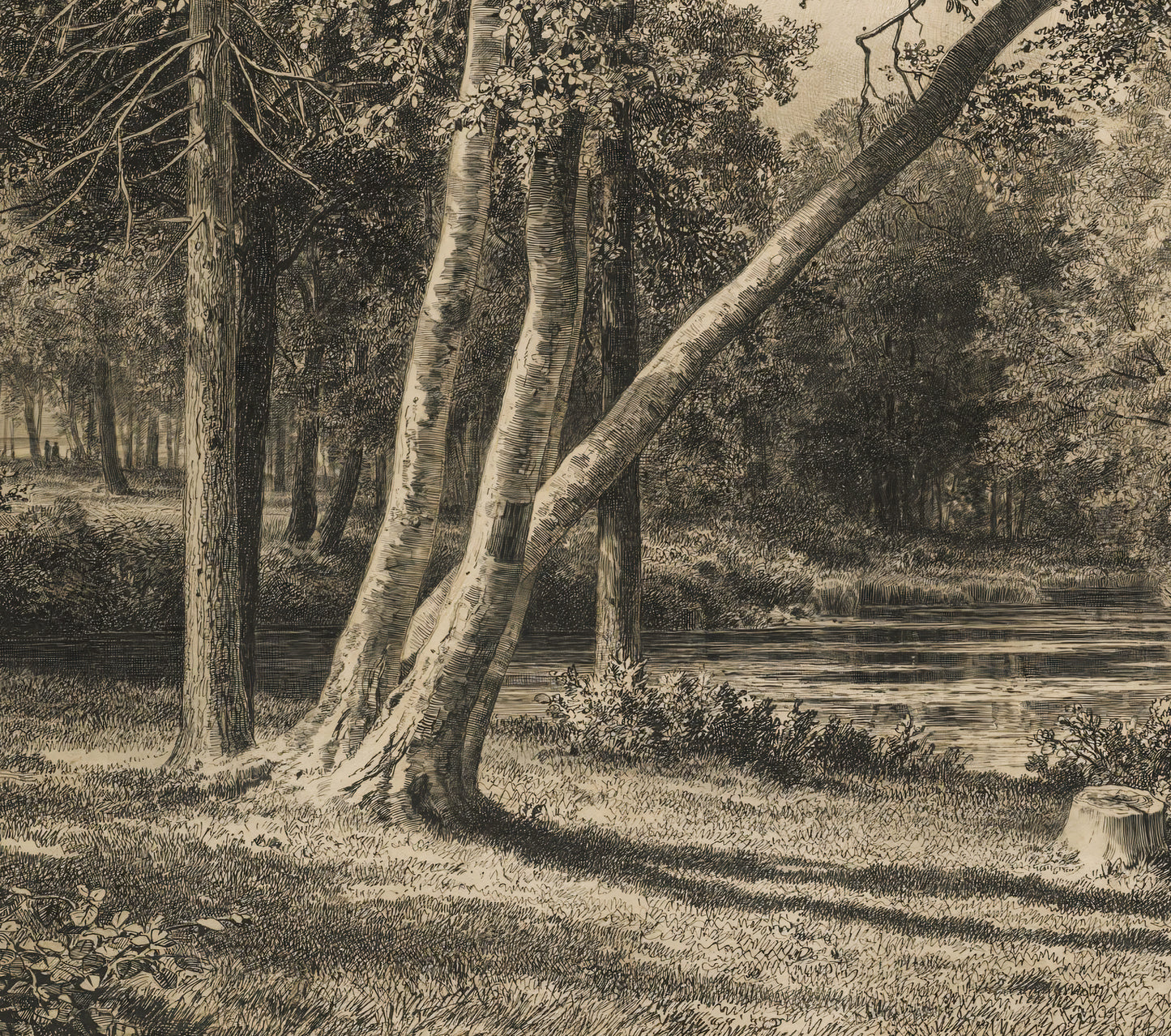 Vintage Forest Landscape Wall Art | Sepia Woodland Scene with Trees & Pond | Rustic Nature Print | Framed Canvas Decor | Cottagecore Wall Decor | PH12
