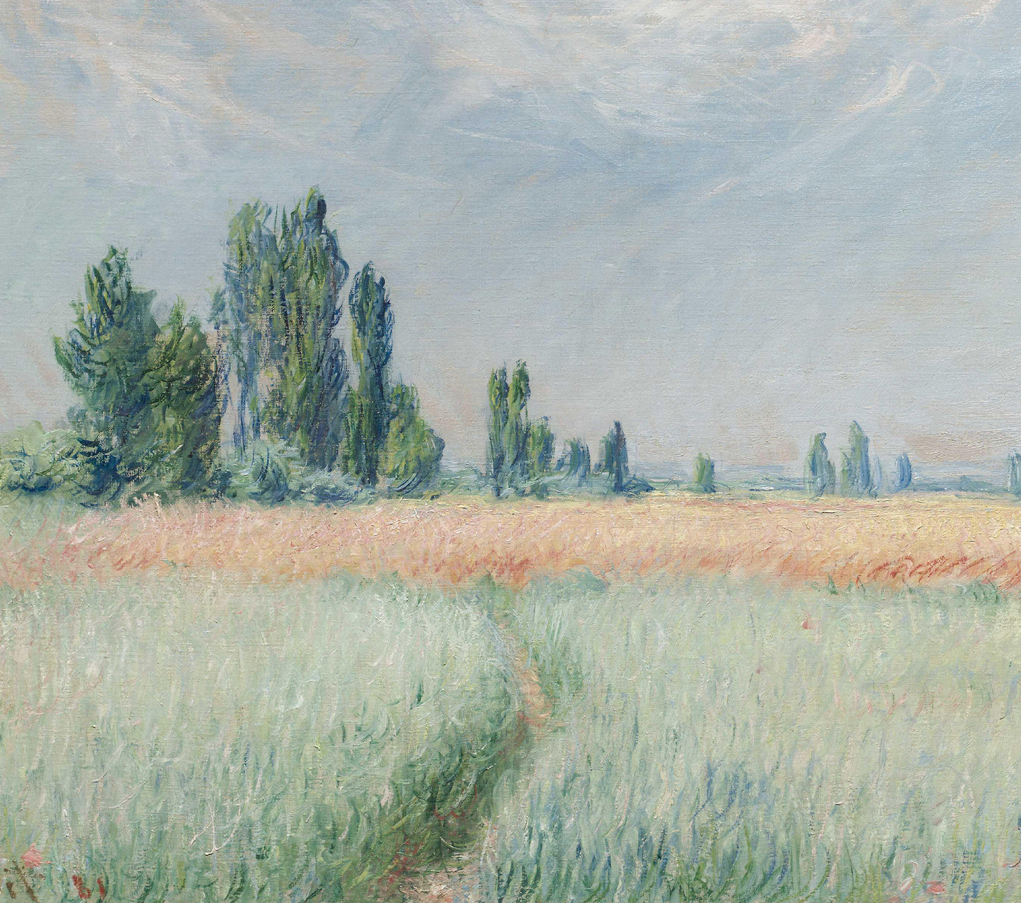 Wheat Field