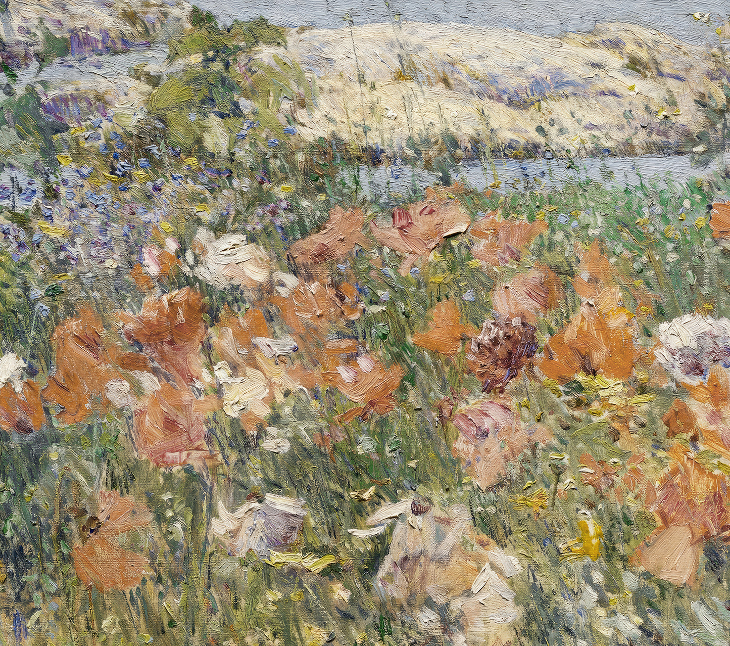 Wildflowers field III | WFC