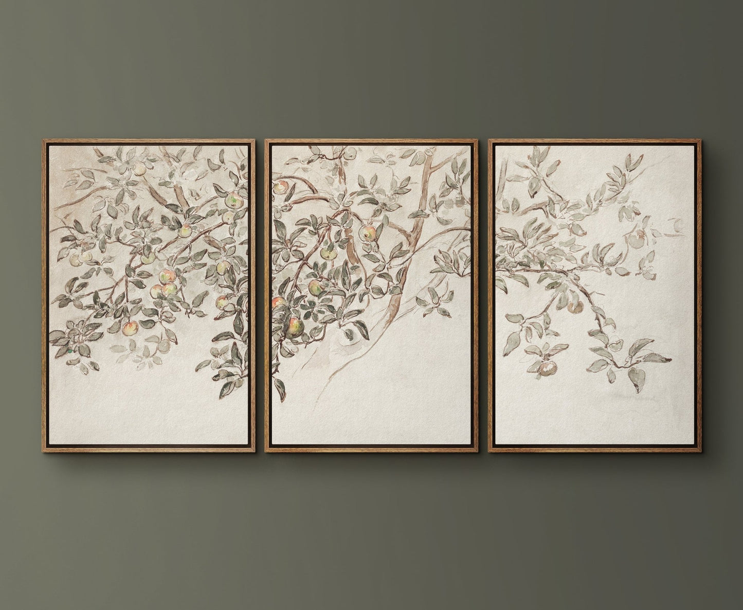 Apple Tree | Set of 3 Antique Art - EasySugerApple Tree | Set of 3 Antique ArtFramed Canvas PrintsEasySugerEasySugerApple Tree | Set of 3 Antique Art3 pieces of 16x24Natural