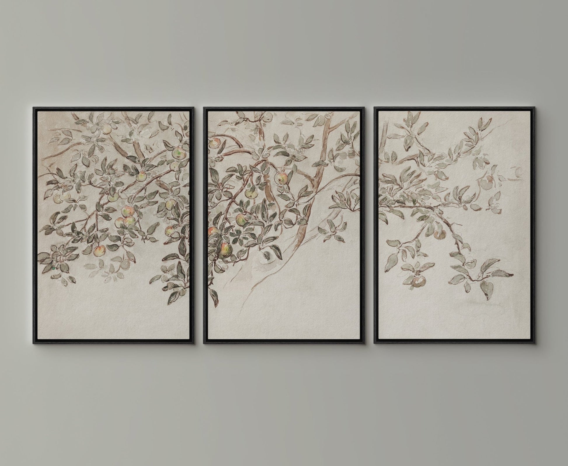 Apple Tree | Set of 3 Antique Art - EasySugerApple Tree | Set of 3 Antique ArtFramed Canvas PrintsEasySugerEasySugerApple Tree | Set of 3 Antique Art3 pieces of 16x24Black