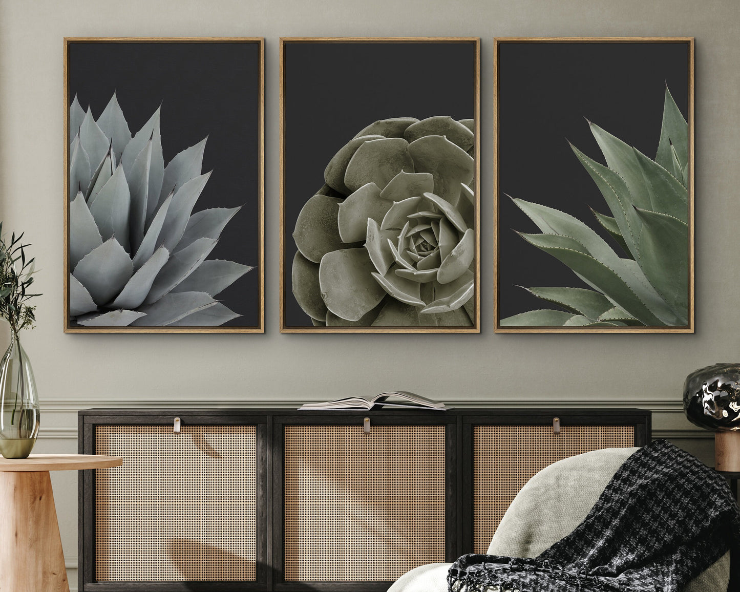 EasySuger Set of 3 Succulent Wall Art, Botanical Wall Art, Framed Canvas Wall Art for Living room and Bedroom, Natural Wall Art