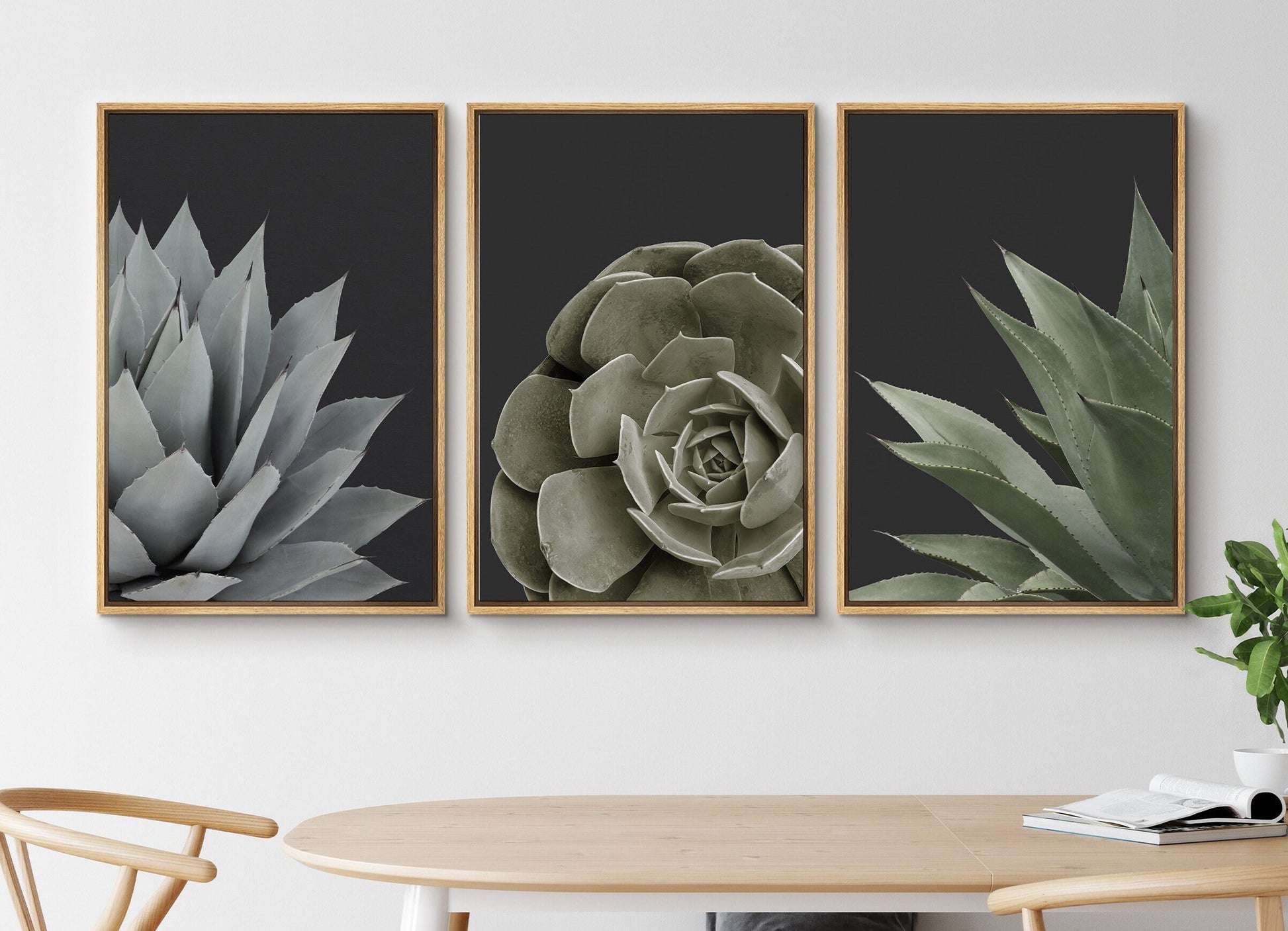 EasySuger Set of 3 Succulent Wall Art, Botanical Wall Art, Framed Canvas Wall Art for Living room and Bedroom, Natural Wall Art