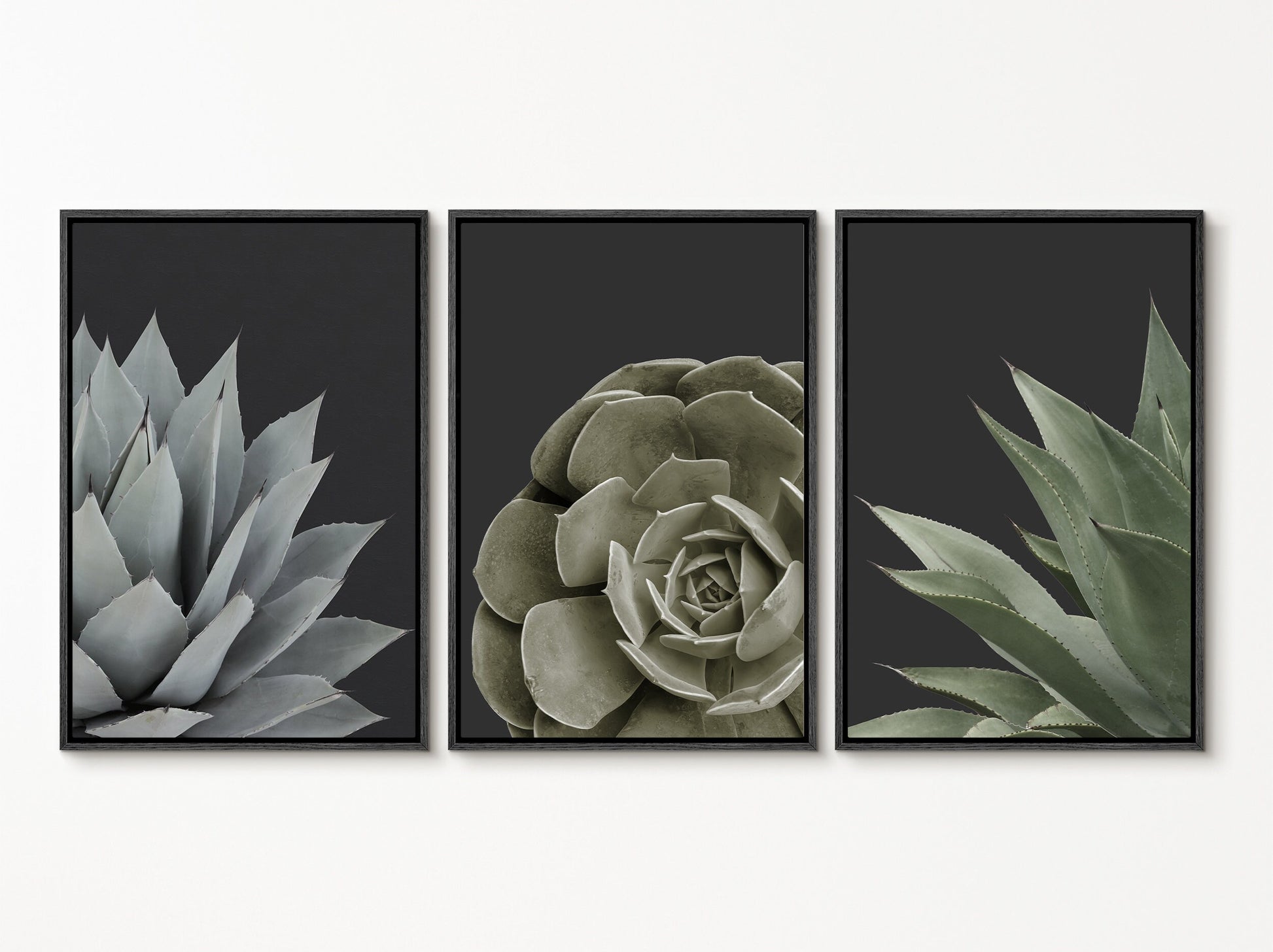 EasySuger Set of 3 Succulent Wall Art, Botanical Wall Art, Framed Canvas Wall Art for Living room and Bedroom, Natural Wall Art