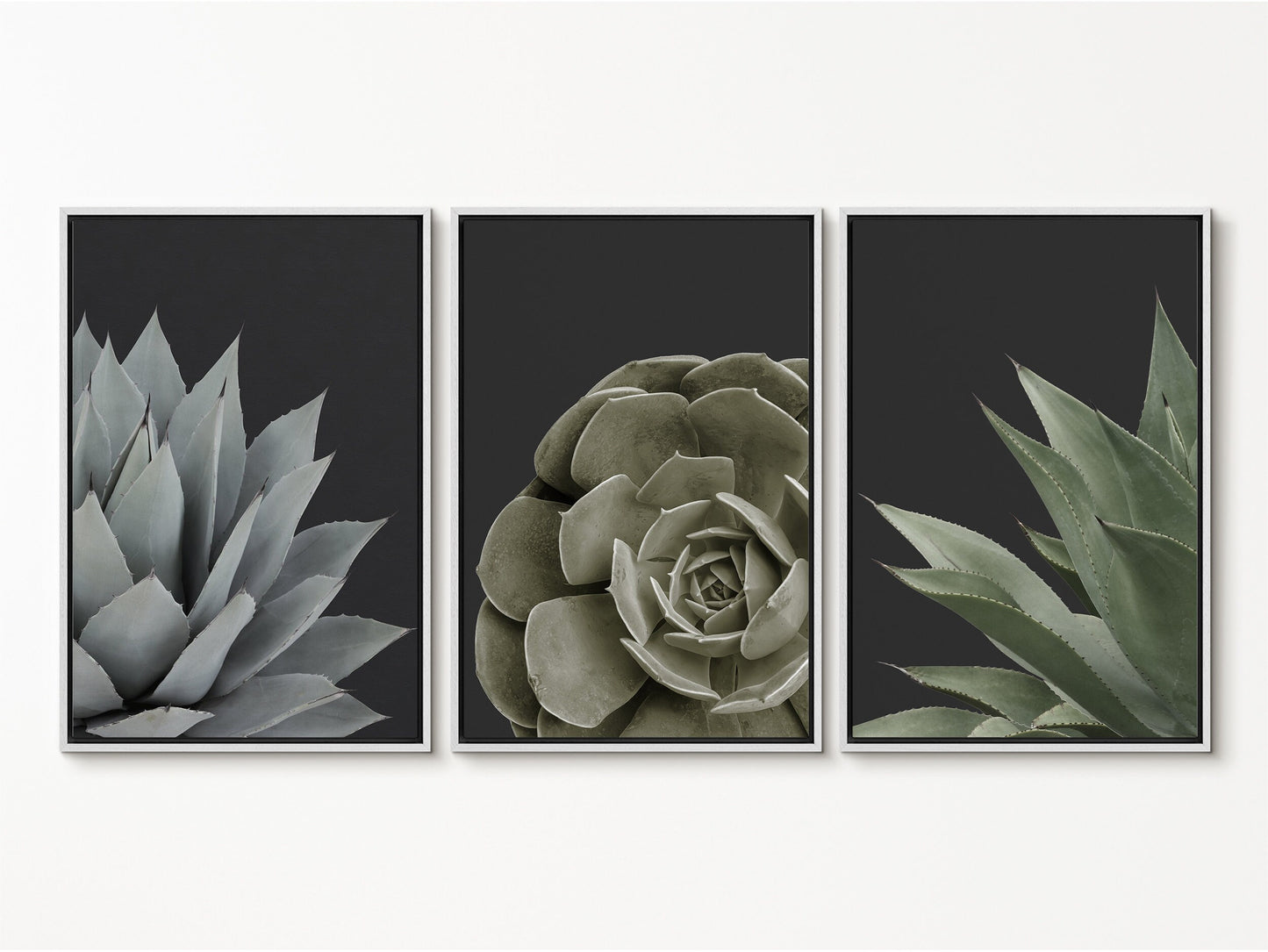 EasySuger Set of 3 Succulent Wall Art, Botanical Wall Art, Framed Canvas Wall Art for Living room and Bedroom, Natural Wall Art