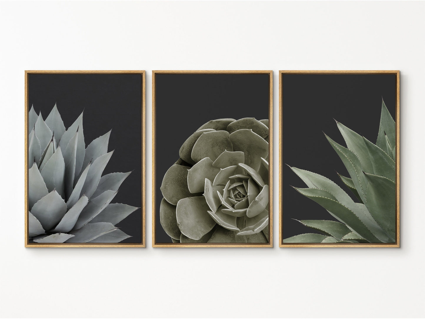 EasySuger Set of 3 Succulent Wall Art, Botanical Wall Art, Framed Canvas Wall Art for Living room and Bedroom, Natural Wall Art