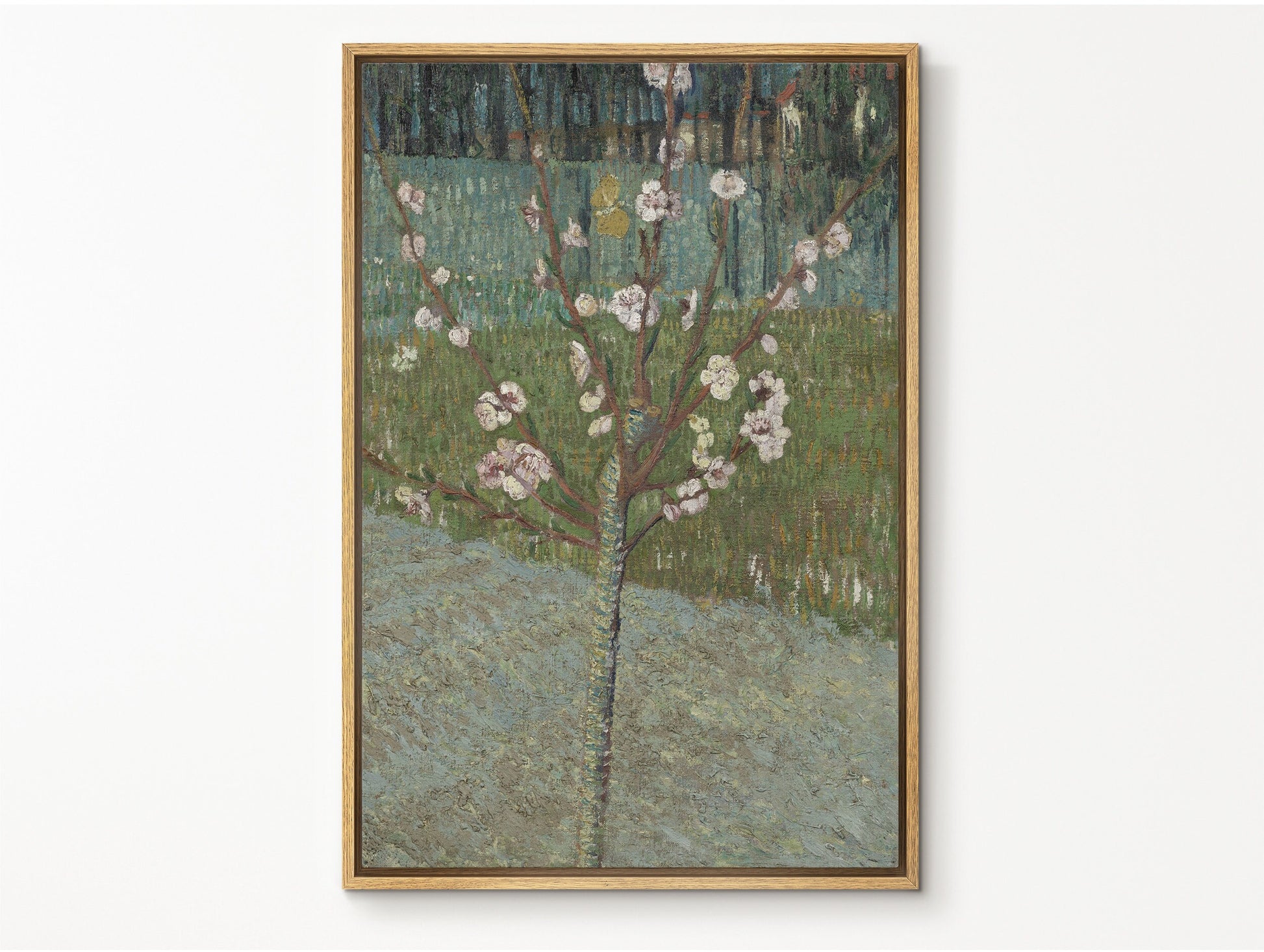 EasySuger Van Gogh Framed Canvas Print | Almond Tree In Blossom