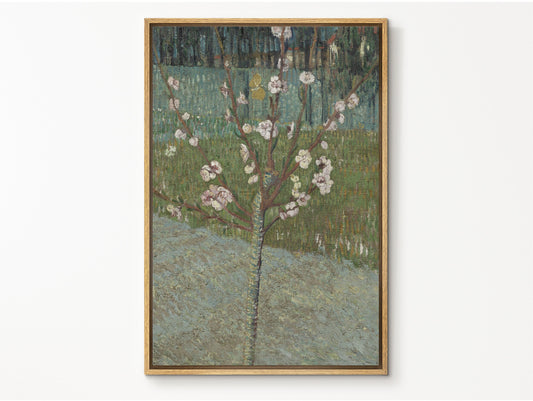 EasySuger Van Gogh Framed Canvas Print | Almond Tree In Blossom