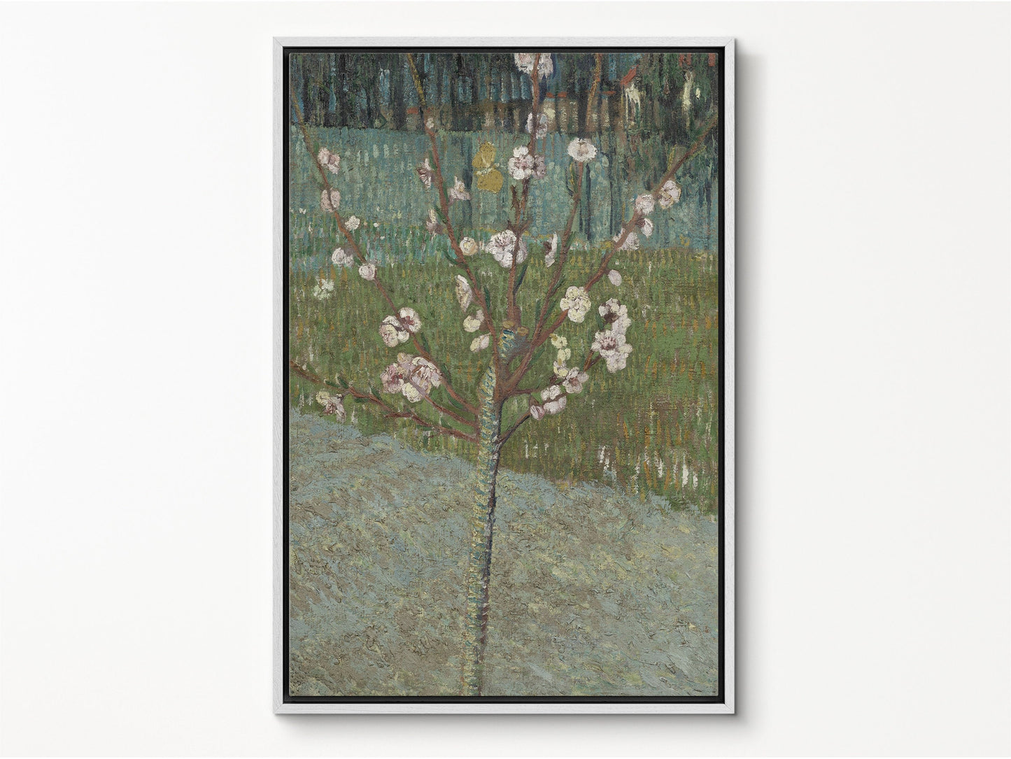 EasySuger Van Gogh Framed Canvas Print | Almond Tree In Blossom