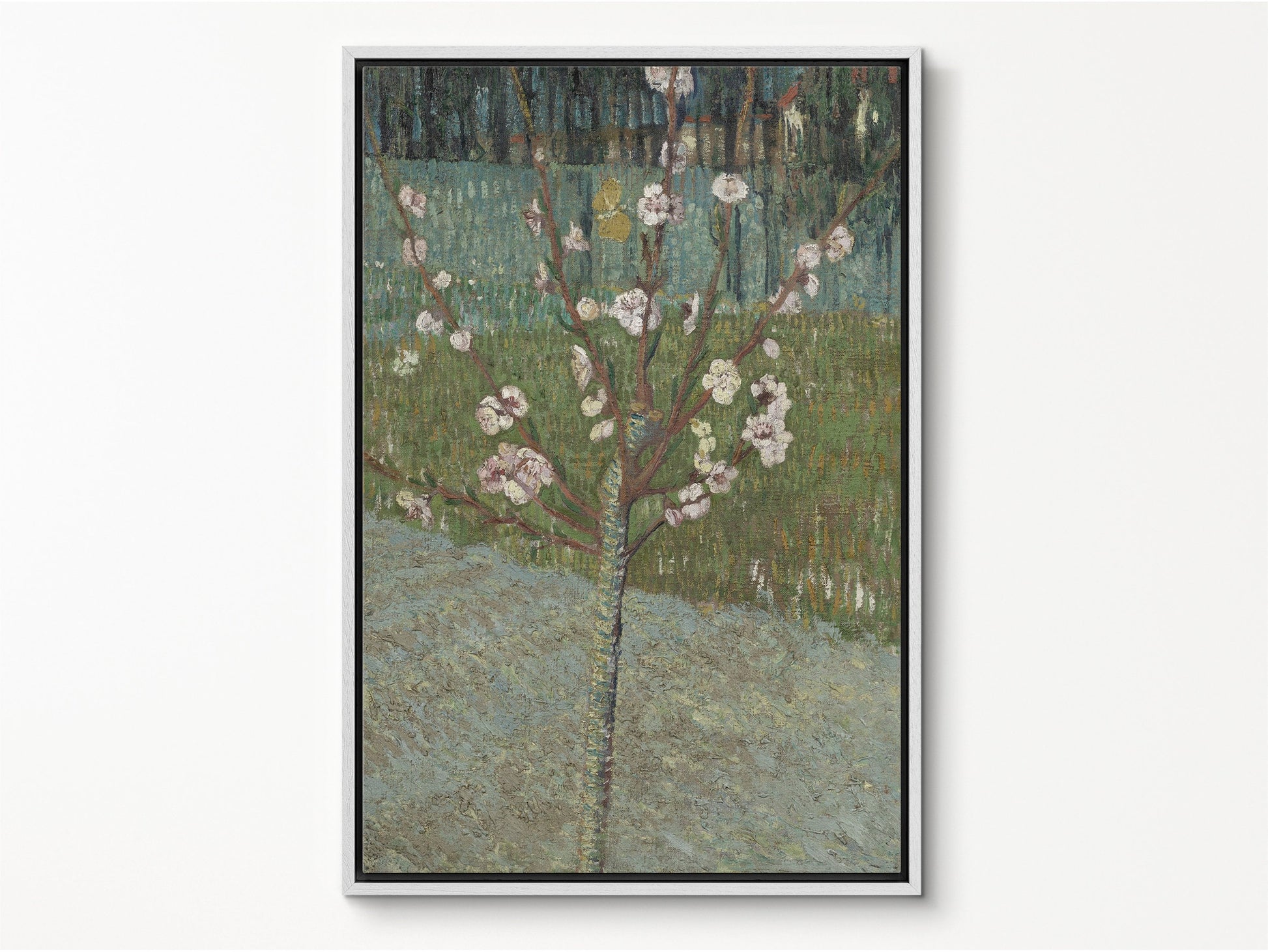 EasySuger Van Gogh Framed Canvas Print | Almond Tree In Blossom