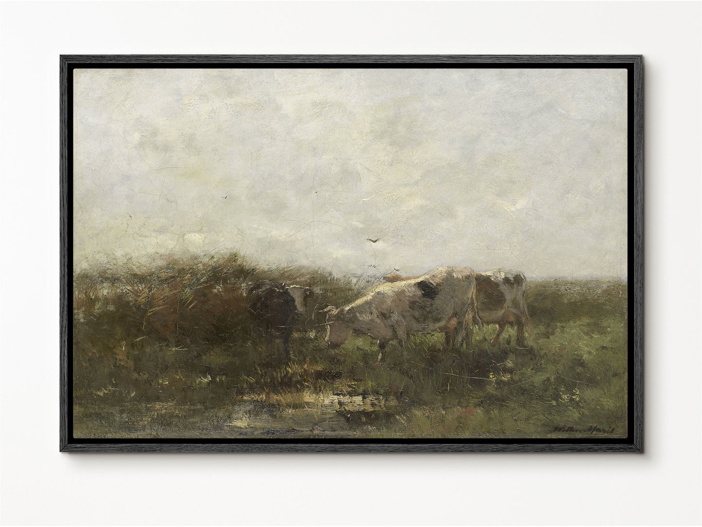 Cows grazing Framed Canvas Print | Large Framed Canvas Print with hanging kit