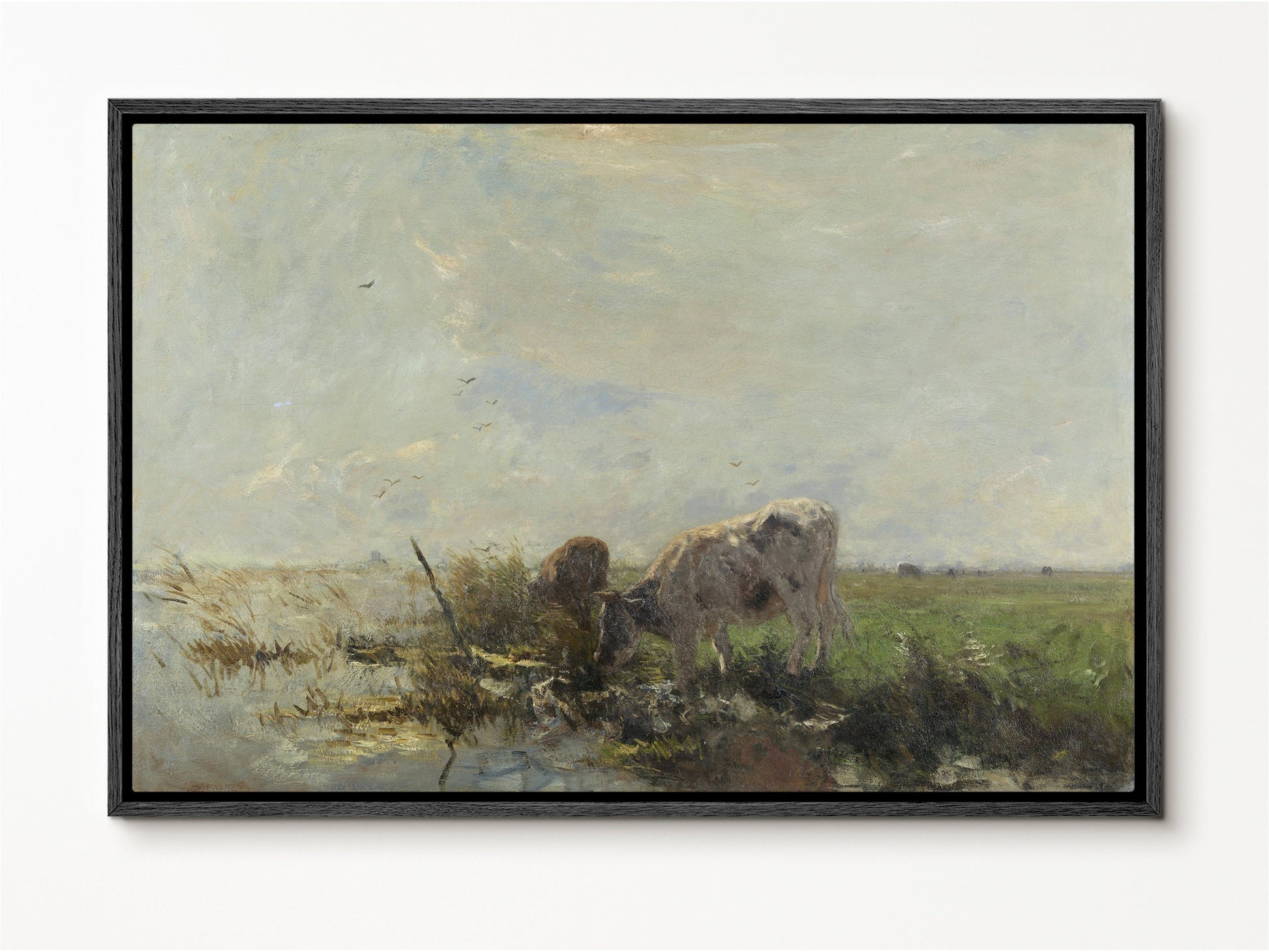 Cows grazing Framed Canvas Print | Large Framed Canvas Print with hanging kit