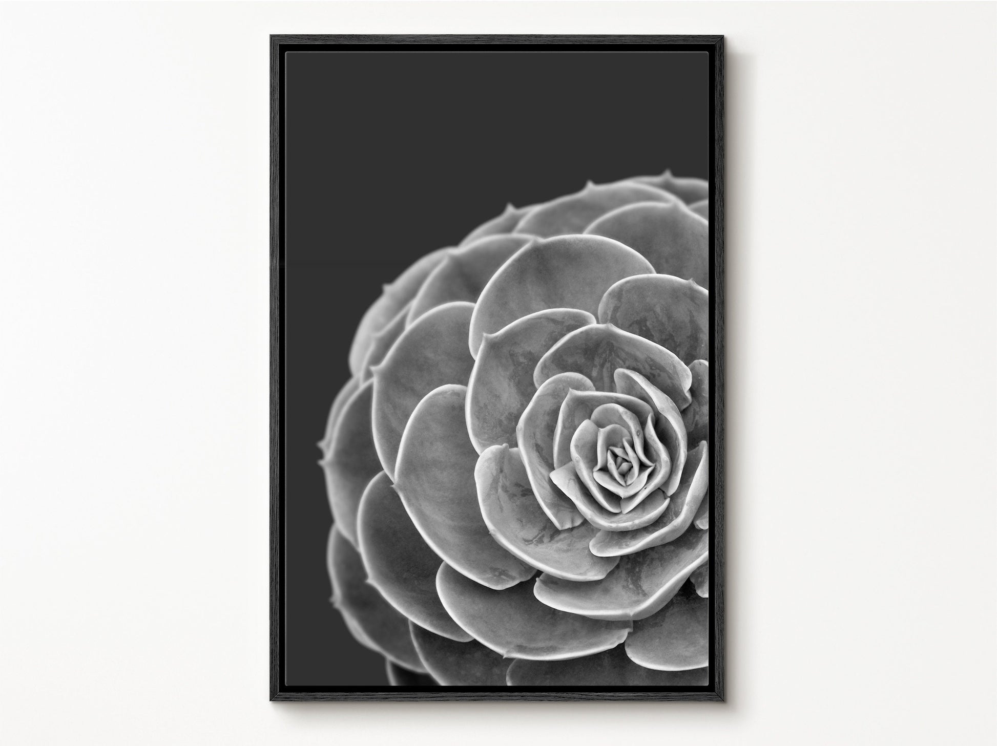 EasySuger Succulent Wall Art, Grey Botanical Wall Art, Framed Canvas Wall Art for Living room and Bedroom, Natural Wall Art with hanging kit