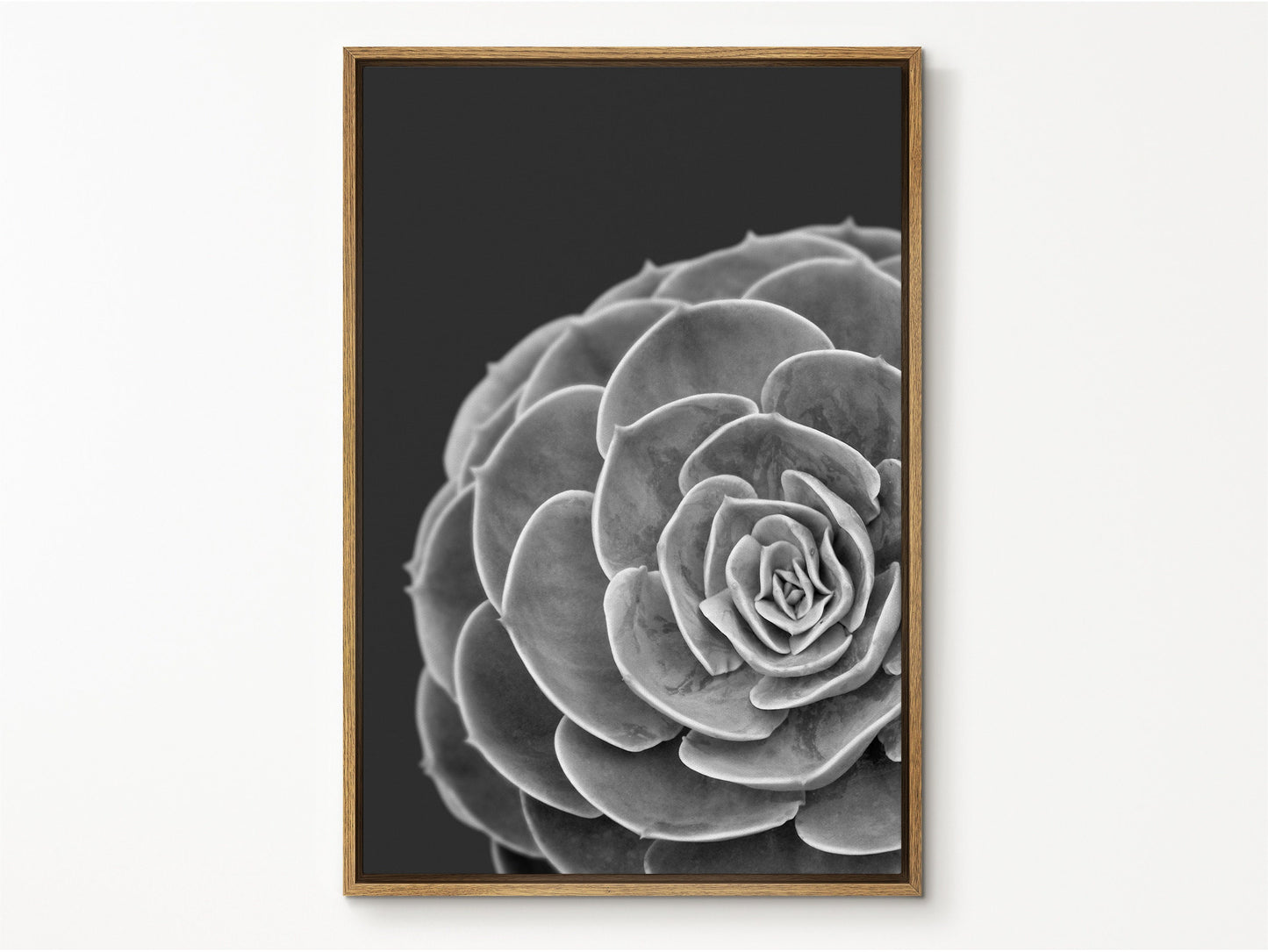 EasySuger Succulent Wall Art, Grey Botanical Wall Art, Framed Canvas Wall Art for Living room and Bedroom, Natural Wall Art with hanging kit