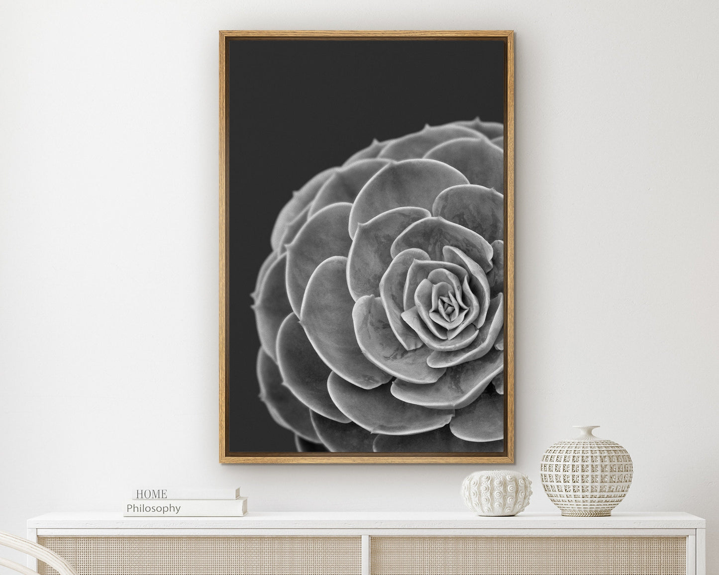 EasySuger Succulent Wall Art, Grey Botanical Wall Art, Framed Canvas Wall Art for Living room and Bedroom, Natural Wall Art with hanging kit