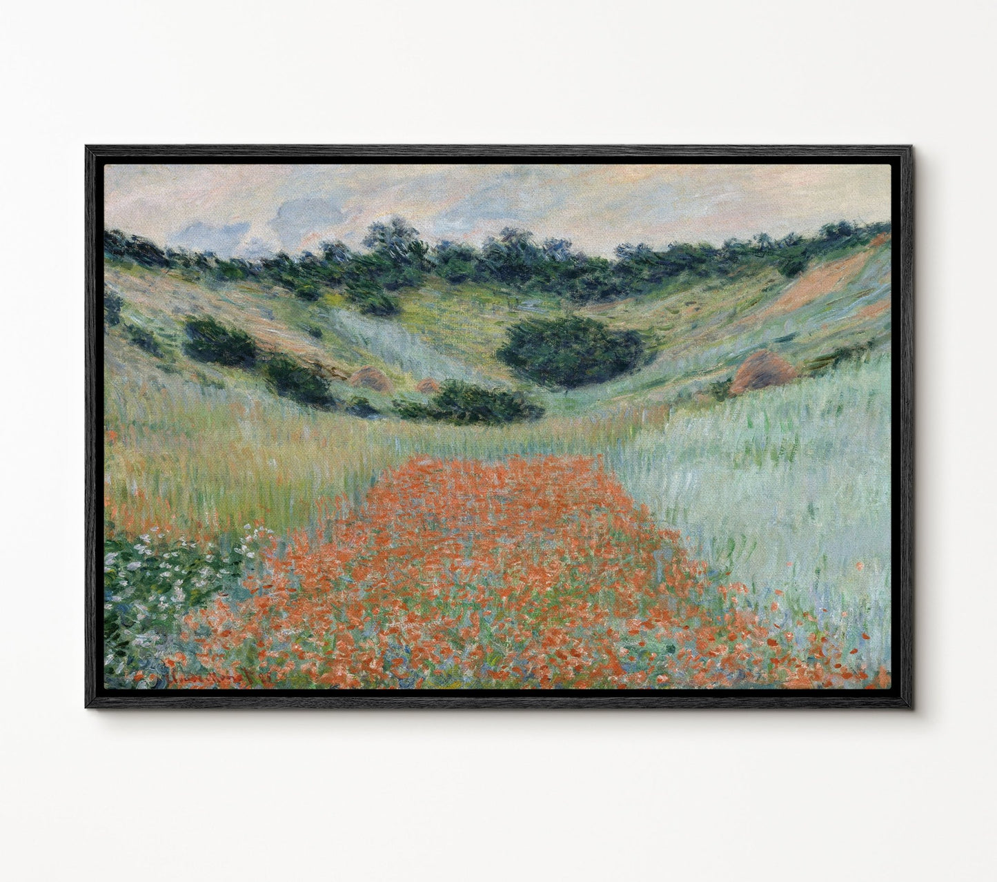 Poppy Field in a Hollow near Giverny 1885 - EasySugerPoppy Field in a Hollow near Giverny 1885Framed Canvas PrintsEasySugerEasySugerPoppy Field in a Hollow near Giverny 188524x16Black